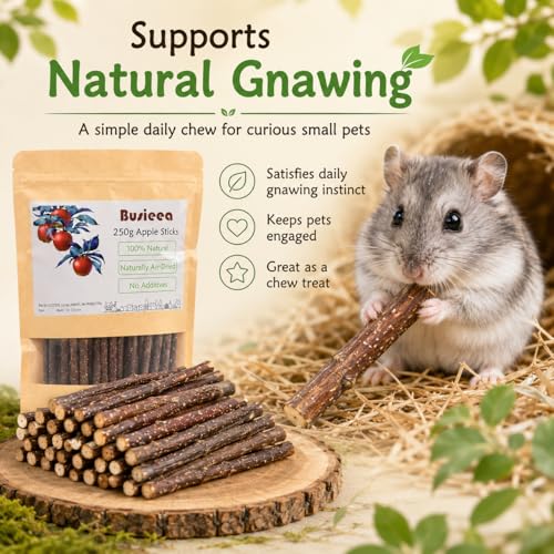 Premium Natural Apple Sticks - 100g/3.52 OZ MINI Trial Pack - Perfect for 1 Pet, Molar Chew Treats for Rabbits Chinchillas Guinea Pigs Hamsters Small Animals - size: 3.6 Ounce (Pack of 1)