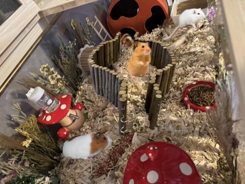 SIMENA Wooden Hamster Suspension Bridge Toy, Hamster Fencing, Natural Climbing Ladder for Dwarf Hamsters, Syrian Hamsters, Mice, Gerbils & Small Pets (Natural, 19.7")