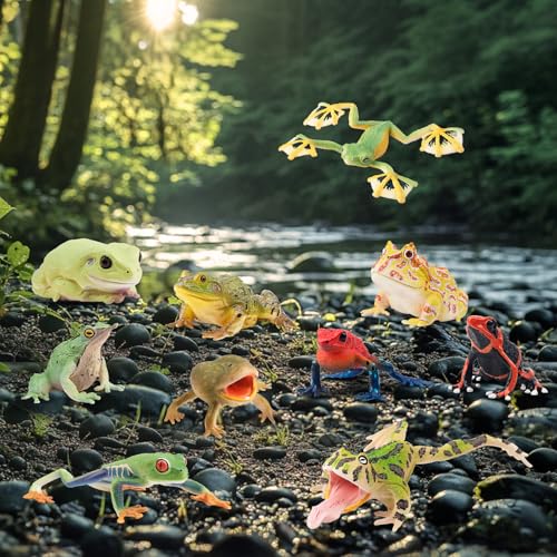 Toymany Frog Toy Figures, Plastic Rainforest Woodland Animals Toy Frogs Set with Realistic Poison Dart Frog, Cake Topper Party Favor Garden Flowerpot Plants Decor - style: Jungle Animal-2