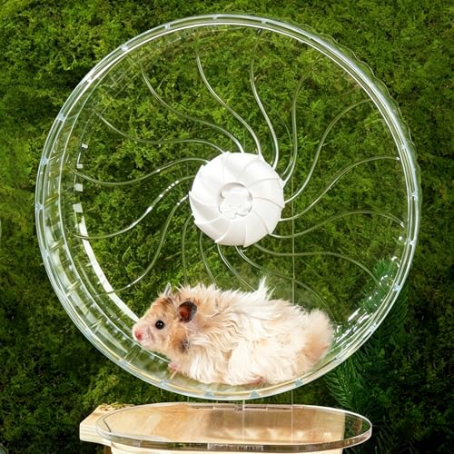 Silent Hamster Wheel, 10.2 Inch, Adjustable Stand, Clear | Clear acrylic wheel with anti-slip track, smooth bearings, and easy-clean design for Syrian hamsters and small pets. - size: 10.2"