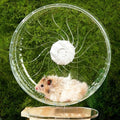 Silent Hamster Wheel, 10.2 Inch, Adjustable Stand, Clear | Clear acrylic wheel with anti-slip track, smooth bearings, and easy-clean design for Syrian hamsters and small pets. - size: 10.2"