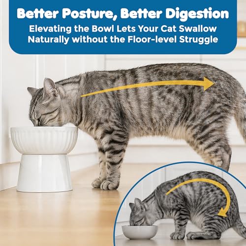 SunGrow Ceramic Cat Bowl with Stand, Suitable Eating Height for Pets, Raised Food Bowl, Mealtime for Your Cats, Stoneware Feeding Station