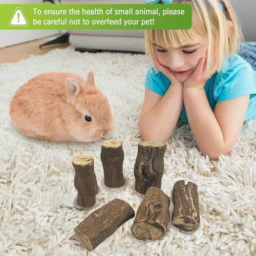 PINVNBY 12 PCS Rabbit Chew Toys Natural Grape Wood Bunny Chew Sticks for Teeth Grinding Guinea Pig Molar Treats Snack for Chinchilla Hamster Gerbil and Other Small Animals
