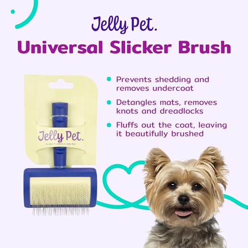 Jelly Pet Universal Slicker Brush for Dogs, Dog Grooming Brush, Remove Tangles and Dead Undercoat, Tuffer Than Tangles Maltese Shi-Tzu Poodle Bichon, Soft Pins, Purple, Small - color: Purple, size: Small (2.5 in x 4 in) - Pins (Soft)