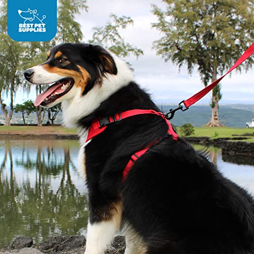 Voyager Step-in Lock Dog Harness - Baby Blue, Large | 20 - 25" in Chest, Adjustable, Breathable Air Mesh, Lightweight for Daily Walks, Strong Clips, Heavy Duty D-Ring - color: Harness (Baby Blue), size: L (Chest: 20 - 25")