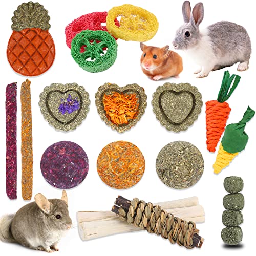 Bunny Toys, 21PCS Rabbit Chew Toys for Teeth, Guinea Pig Natural Treats | Timothy Hay Sticks chew Treats for ChinchillasRabbit, Bunny, Hamsters, Rats, chinehila, Small Animals Teeth Grinding Care - size: 21Pack-small Set