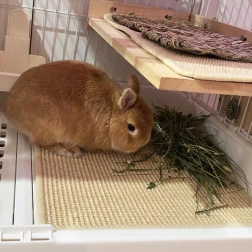 Rabbit Scratching Pad Natural Sisal Bunny Scratch Pad 16 x 12 Inch, Claws and Teeth Care Rabbit Scratcher Mats Chew Toys Indoor Bunny Accessories for Bedding Biting Sleeping Resting(1 Pack) - color: Beige-1, size: 15.7" x 11.8" (1 Pack)