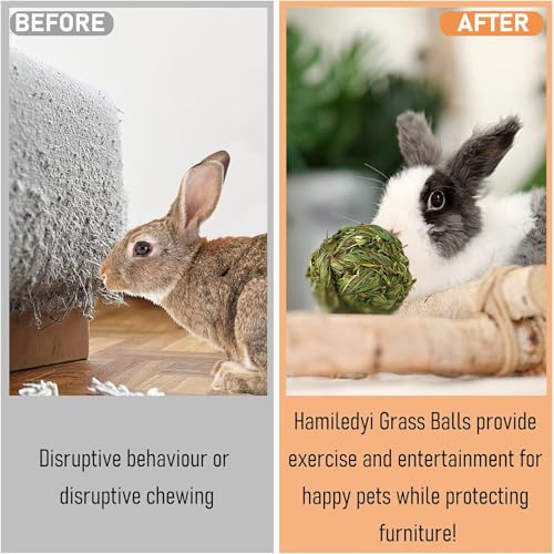 Hamiledyi 10 Pcs Rabbit Chew Ball Timothy Grass Ball Small Animal Activity Play Chew Toys Teeth Grinding for Bunny Rabbits Hamster Guinea Pigs Gerbils Chinchillas - style: Round 10 PCS