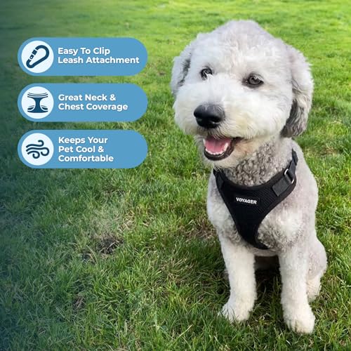 Voyager Step-in Lock Dog Harness - Black, X-Small | 13 - 16" in Chest, Adjustable, Breathable Air Mesh, Lightweight for Daily Walks, Strong Clips, Heavy Duty D-Ring - color: Harness (Black), size: XS (Chest: 13 - 16")