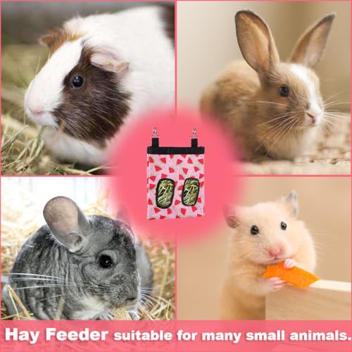 DZWLKJ Guinea Pig Hay Feeder, 600D Polyester, Watermelon, Rabbit Hay Feeder Bag, Guinea Pig, Chinchilla, Hamsters, Small Pets, 1 Pack, Foldable, Lightweight - size: M -11"x 9"x 1"