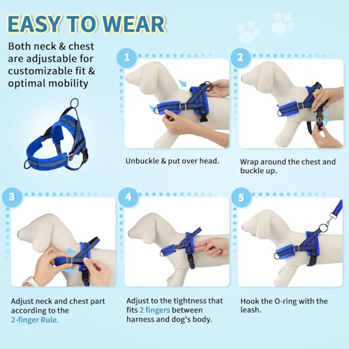 Lukovee Small Dog Harness and Leash Set, No Pull Soft Padded Vest | Both Neck & Chest Adjustable, Reflective, Puppy Harness with 4ft Lightweight Anti-Twist Dog Leash for Small Dogs (Blue, M) - color: Blue, size: M ( Chest 19.7'' ~ 29.1'')