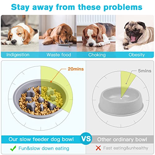 Epetslove Double Dog Water and Food Bowls Raised Slow Feeder Black | Stainless Steel, Raised Feeding Station, Removable Slow Feeder, Anti-slip Base, For Puppies, Medium Dogs, Cats & Multi-pet - color: 2. Slow Feeder, size: Medium-18oz