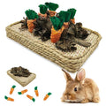 Hamiledyi Pet Fun Bunny Chew Toy Rattan Grass Scratcher Rabbit Enrichment Climbing Play Carrot Digging Toys for Bunnies Rabbits Guinea Pigs Parrots Ferret Hedgehog Squirrel and Other Rodents