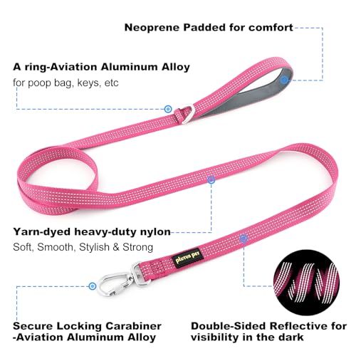 Plutus Pet Heavy Duty Dog Leash with Lockable Aluminum Carabiner, 4 FT Long | Double-Sided Reflective Nylon, Padded Handle, Heavy Duty, for Puppy Small Medium and Large Dogs (Pink, 1" x 4') - color: Pink, size: 1" x 4'