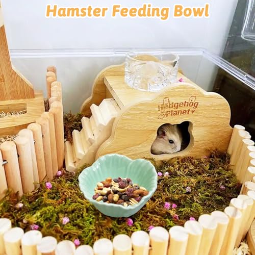 Tfwadmx 2 Pcs Ceramic Pet Hamster Bowl, Dwarf Hamster Food Bowl Feeder, Small Animal Food Dish for Guinea Pigs, Hedgehogs, Mice, Pygmy Hamsters, Robertsky'S Cheeky Mice (Cyan) - color: Cyan