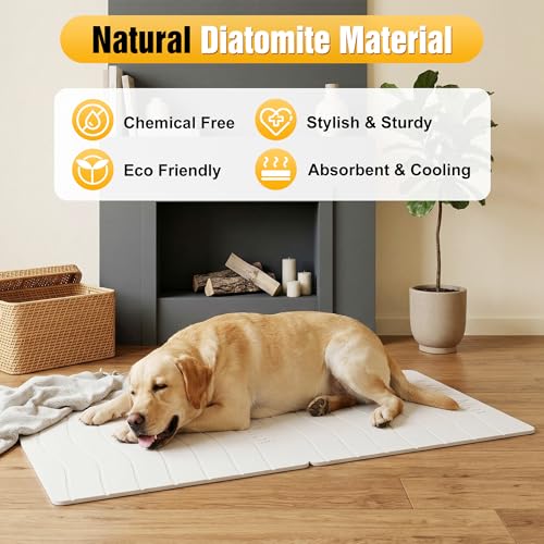 Double-Side 2 in 1 Stone Pet Food Mat & Cooling Mat (31"*16") | Instant dry water absorbing Diatomite Stone Dog Bowls Drying Mat & Heat dissipating Pet Cooling Mat. Bite-Proof & Non-slip. - color: WHITE, size: 31"*16"