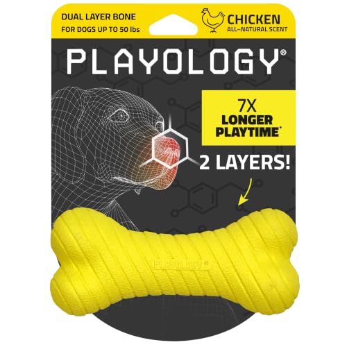 Playology Dual Layer Bone Dog Chew Toy - Medium, Chicken Scent | Rubber Construction, All Natural Scent, Heavy Duty Design - size: Medium, style: Chicken