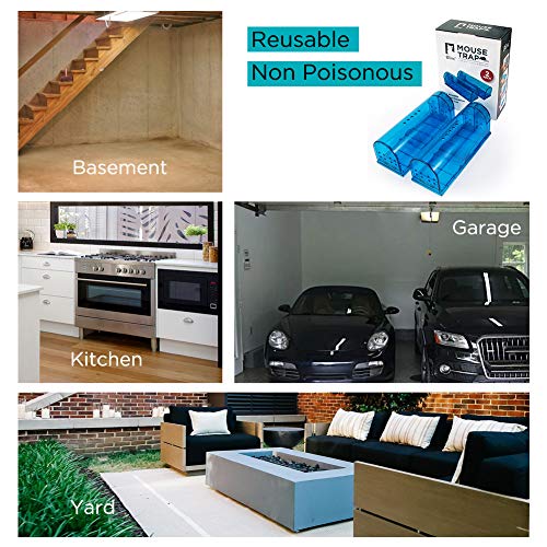 Blinc [6-Pack] Humane Mouse Trap - Catch and Release No-Kill Rodent Traps for Indoors & Outdoors - Safe for Children & Pets - Reusable Mouse Catcher for Kitchen, Pantry & Garage (Transparent Blue) - size: 6 Pack