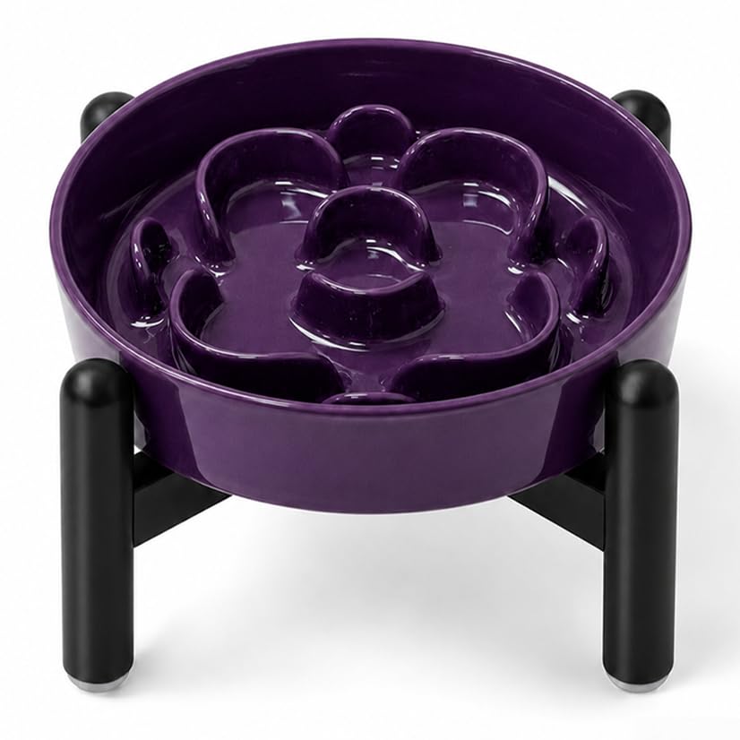 Ceramic Slow Feeder Dog Bowl, 0.8 Cups Anti -Slip Slow Feeding Bowl to Slow Down Eating, 6.3 Inch Dog Food Dish for Small Breeds, Purple - color: Purple, size: Small