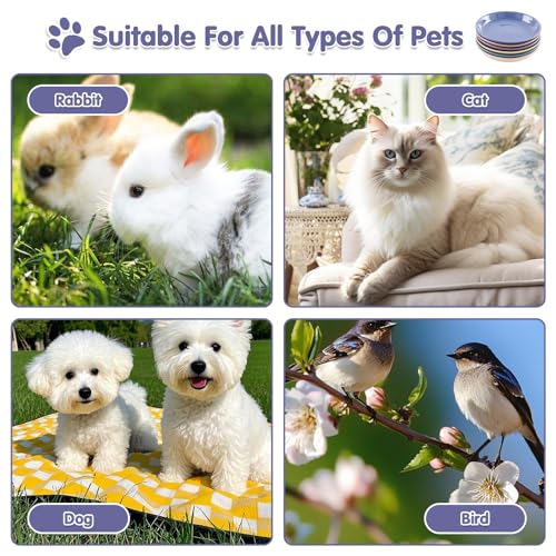 6 Pack Cat Food Bowl, Ceramic Cat Bowls, Anti Whisker Fatigue Cats Bowl Set | 5.5 Inches Shallow Wide Kitten Plates for Food and Water (CaiSe-A) - color: CaiSe-A