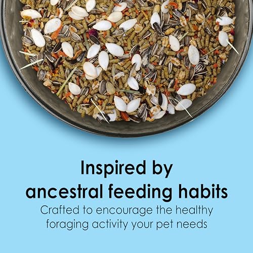 Kaytee Food from The Wild Natural Pet Hamster Food, 2 Pound - size: 2 Pound (Pack of 1)