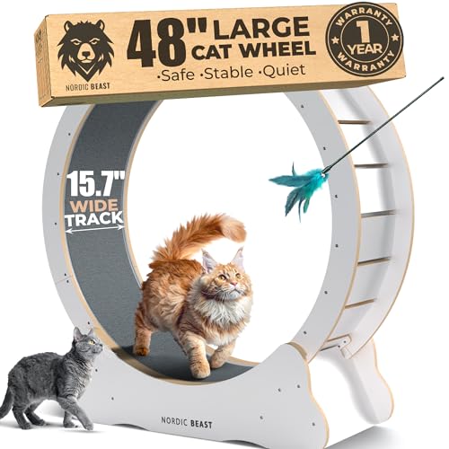 White 48'' XL Cat Wheel - Cat Wheels for Indoor Cats Which Doesn't Negatively Affect Your Cat's Spine - 15.7'' Extra Wide White Exercise Wheel - Fits 2 Cats Side-by-Side, 1-Year Warranty - color: White