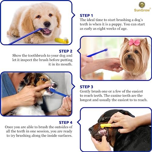 SunGrow Dog & Ferret Toothbrush Set of 4, 2 Long Dual-Headed and 2 Finger Brush, Blue and Yellow, Puppy, Cat, and Small Breed Dog, 9-Inches and 2.5-Inches