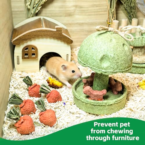 Hamiledyi Guinea Pig Chew Toys Rabbit Chew Toys for Teeth Natural Hamster Treats Prevent Teeth Overgrowth for Syrian Hamsters Gerbils Rat Bunny Chinchilla Small Animals - style: Style B