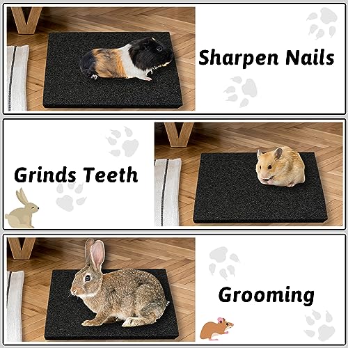 Hamiledyi Rabbit Scratch Foot Pads - 4 Pcs Small Animal Lava Grinding Teeth Stone for Bunny, Hamster, Guinea Pig, Rat, Gerbil, Chinchilla & Hedgehog - color: BlackS-4PCS