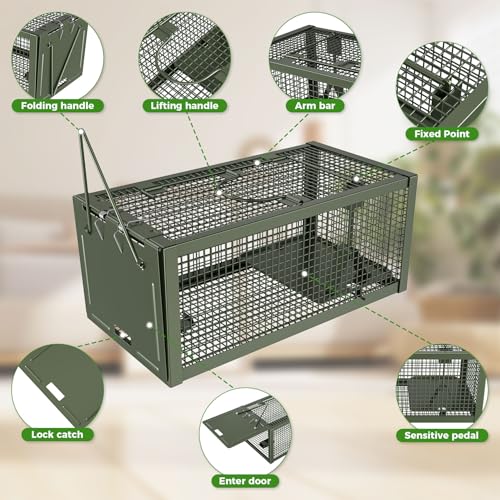 2 PCS Humane Mouse Mice Rat Traps Live Chipmunk Squirrel Animal Cage | Green Iron Galvanization, Reusable Safe for Children & Pet - color: Green
