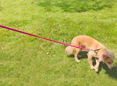 5FT Bungee Dog Leash Shock Absorbing Reflective Nylon Lead 2cm Wide | Soft Handle- Lightweight- Anti-Pull Training for Small/ Medium Dogs- 6 Colors (Pink) - color: Pink