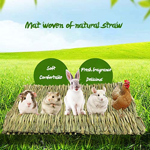 kathson 6 PCS Rabbit Large Grass Mat Natural Grass Woven Mat Rabbits Chew Toys Hay Bedding Nest for Small Animal Bunny Rabbit Guinea Pigs Hamster Chinchillas Puppy Biddy Sleeping Chewing
