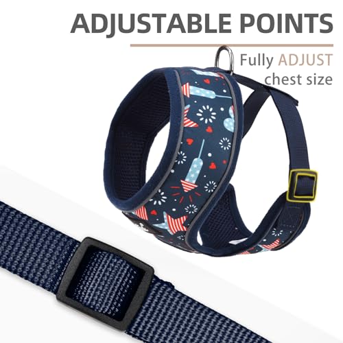 PUPTECK Soft Mesh Dog Harness and Leash Set Pet Puppy Cat Comfort Padded Vest No Pull Harnesses, Independence Dark Blue, S - color: Dark Blue, size: S (NECK: 12", CHEST: 14"-18")