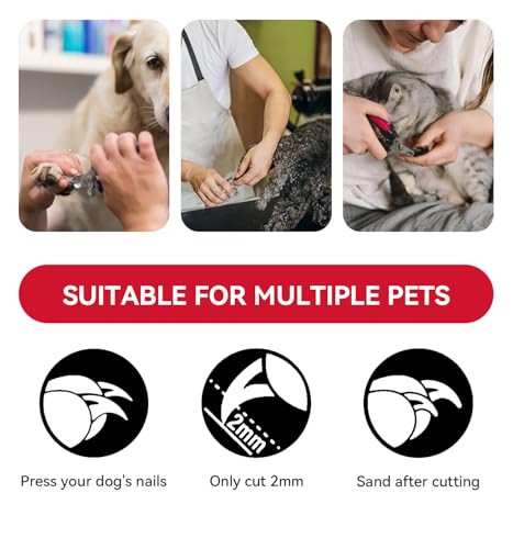 4.72 inch Dog Nail Clippers for Small Dogs with Free Nail File | Ultra Sharp Stainless Cat Nail Clippers with Guard for Dogs, Cats, Rabbits and Guinea Pigs (C Style) - color: Small Style C