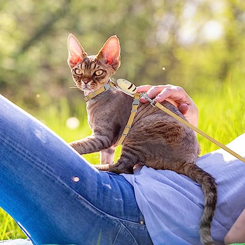 TIESOME Cat Harness and Leash Set, Adjustable Gradient Kitten Harness | Escape Proof Harness with Leash for Kitty Outdoor Walking - color: Vanilla Yellow