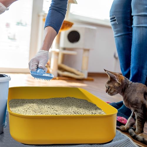 5PCS Small Litter Box, Plastic Kitten Litter Box, 13.9 x 9.8 x 3 Inch Open Litter Box for Small Pet, Easy to Clean (5 Color) - color: 5 Color