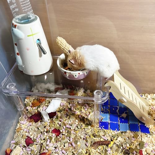 Hamster Platform Acrylic Small Animal Play Activity Resting Stand Climbing Cage Toy with Ladder for Dwarf Syrian Hamsters Gerbils Mice Sugar Glider - color: Transparent(1PCS)