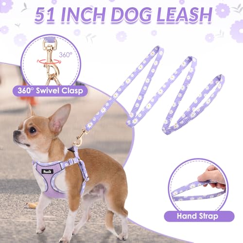 Lukovee Puppy Harness and Leash Set, No Pull Step in Lightweight Mesh Vest | Soft, Reflective, Easy Put on and off, Adjustable, Breathable Air Mesh, with 51in Leash for Walking Hiking (Purple, XXS) - color: Purple, size: XX-Small (2.2-6 lb)