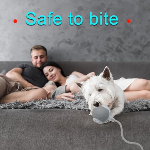 Interactive Cat Dog Toy Ball with LED Light, Automatic Rolling(Grey) | String Tail and LED Light Design, Motion Activated, Suitable for Interactive Indoor Pet Play and Exercise - color: Grey