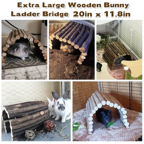 PINVNBY Guinea Pig Wooden Ladder Bridge (20 x 11.8 in) Rabbits Hideout, House, Tunnel, Rodents Chew Toys for Bunny, Chinchillas, Hedgehogs, Ferrets, Rat and Small Animals-Extra Large - size: 1 PCS, L ( 20 X 11.8 inches )