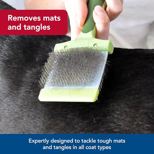 Coastal Pet Safari Dog Flexible Slicker Brush - Dog Brush for Shedding - Undercoat Rake & Grooming Tools for Small & Medium Pets - Small - size: Small
