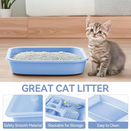 PAWISE Newborn Kitty Litter Box Set 5-Pieces - Shallow Cat Litter Pan, Cat Litter Scooper, Feeding Bowls, Kitten Starter Kit Mouse Toy, 14.5x10.5 Inches, Blue - color: Blue