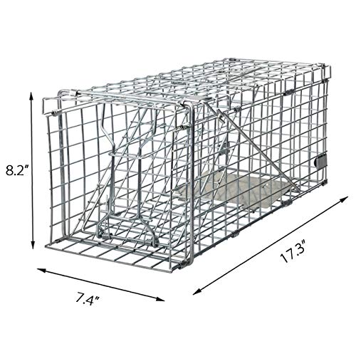 Gingbau Squirrel Trap Foldable Heavy Duty Humane Live Animal Cage Trap (Not for Mouse)
