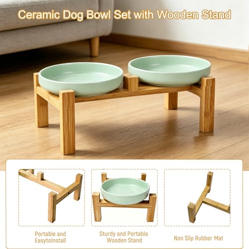 Shallow Elevated Cat Bowls with Bamboo Stand, 6.1 Inch Wide Ceramic Cat Dish Whisker Friendly, 2 Pack Pet Food and Water Plates - color: Mint Green elevated