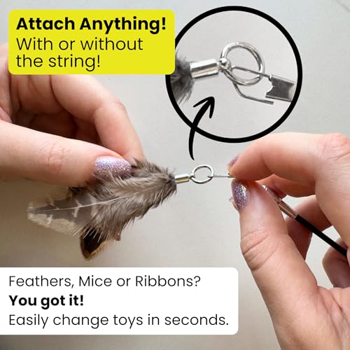 Forever Stick 2-Pack - The Unbreakable Cat Wand Toy, Durable Cat Toy Wand, Extra Long Cat String Toy, Cat Fishing Pole Toy for Bored Indoor Adult Cats, Cat Stick Toy, Cat Feather Wand, Cat Teaser Wand - size: Forever Stick 2-Pack