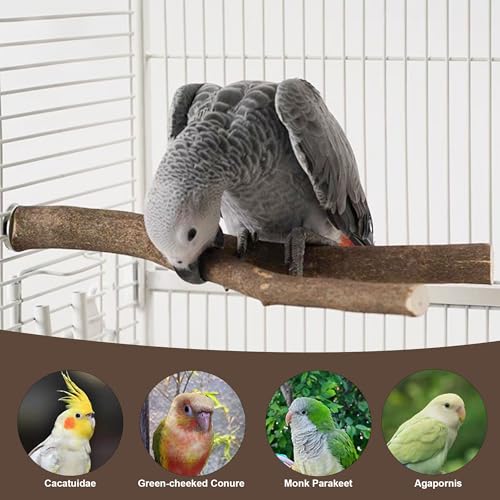 6 PCS Bird Perch Set | Natural Birch Wood, Straight & Forked Perches with Platforms, For Parakeets, Cockatiels, Conures, Lovebirds, Cage Accessories
