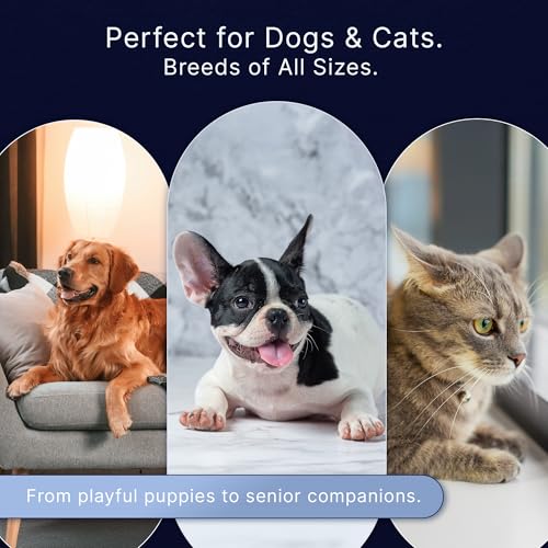 Professional Dog Nail Clippers for Large Dogs and Medium Dogs - with Safety Guard & Ergonomic Easy Grip, Dog Nail Trimmer for Large Dog, Safe Cat Nail Clippers - for Precise Grooming