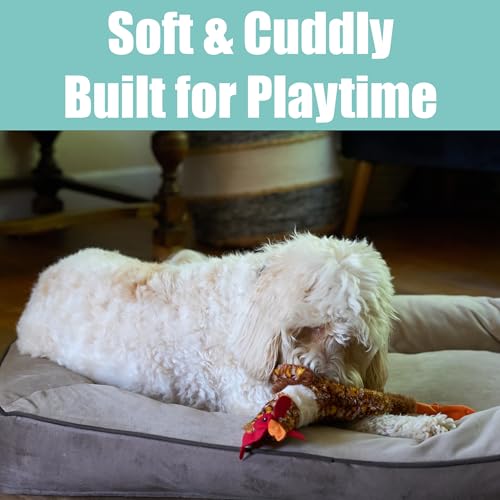 SPOT Skinneeez Chicken 17" Stuffing-Free Plush Dog Toy with Honking Squeaker – Soft, Floppy & Mess-Free Interactive Toy for Medium & Large Dogs – Ideal for Light & Moderate Chewers - style: Chicken