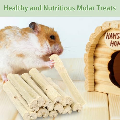 300g Sweet Bamboo Sticks for Rabbits, Bunny Chew Toys for Small Pets | Natural Bamboo Chews for Rabbits, Chinchillas, Guinea Pigs, Hamsters, Squirrels,and Small Animal Teeth Grinding