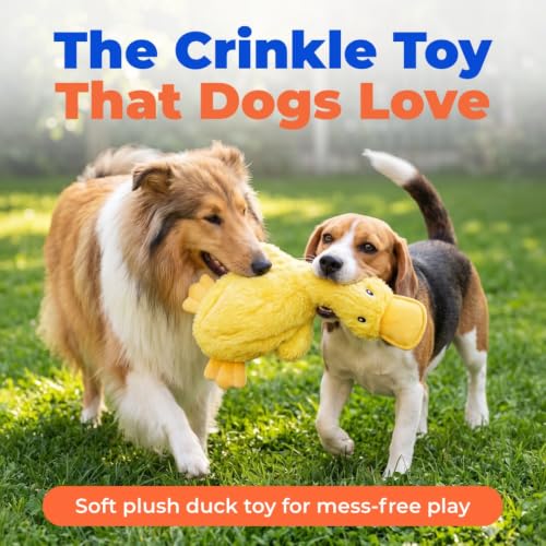 Best Pet Supplies Interactive Squeaky Dog Toy - Crinkle Duck, Yellow | Stuffing Free Body, Soft, Squeaks & Crinkles, No Mess, Perfect for Moderate Chewers, Toss and Fetch Play - color: Crinkle Duck (Yellow), size: Large